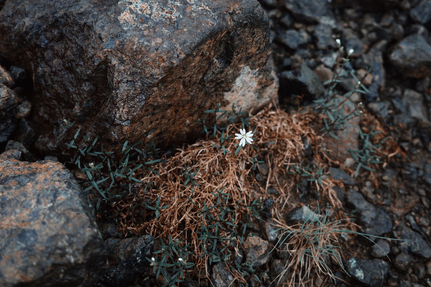 岩